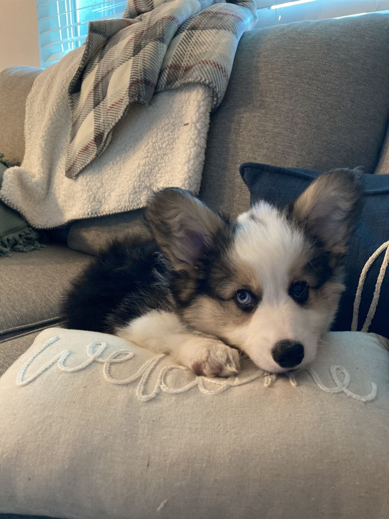 Loaf